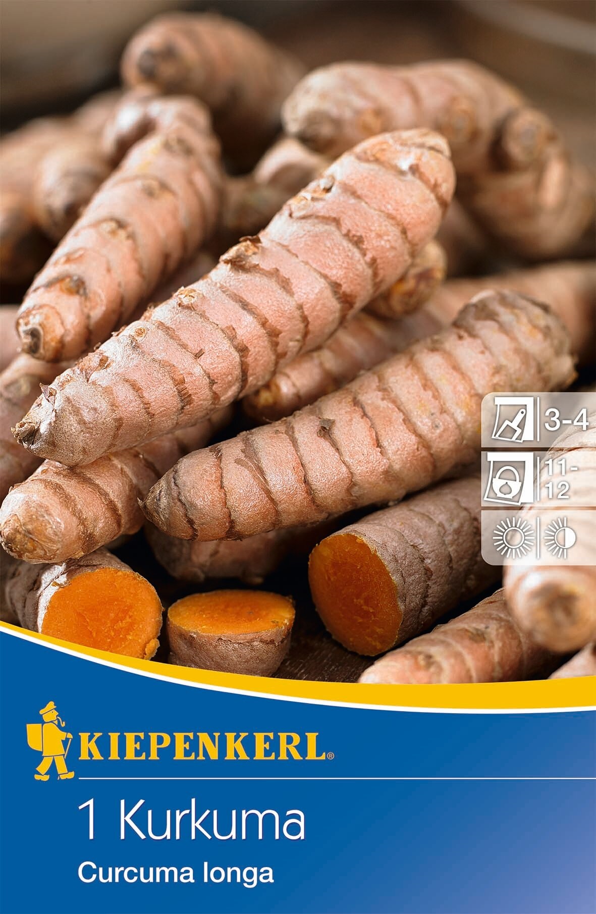 Turmeric (rhizome) Kiepenkerl 1 piece