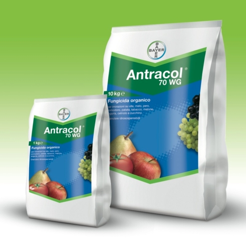 Antracol WG 0,1 kg