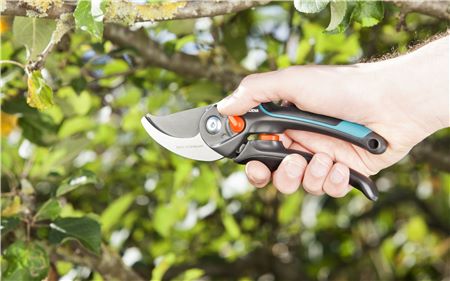 Secateurs S-XL