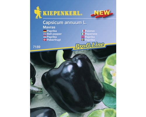 Paprika fekete Mavras F1 Kiepenkerl 7 szem