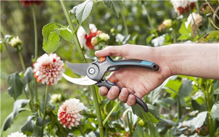 Secateurs S-XL