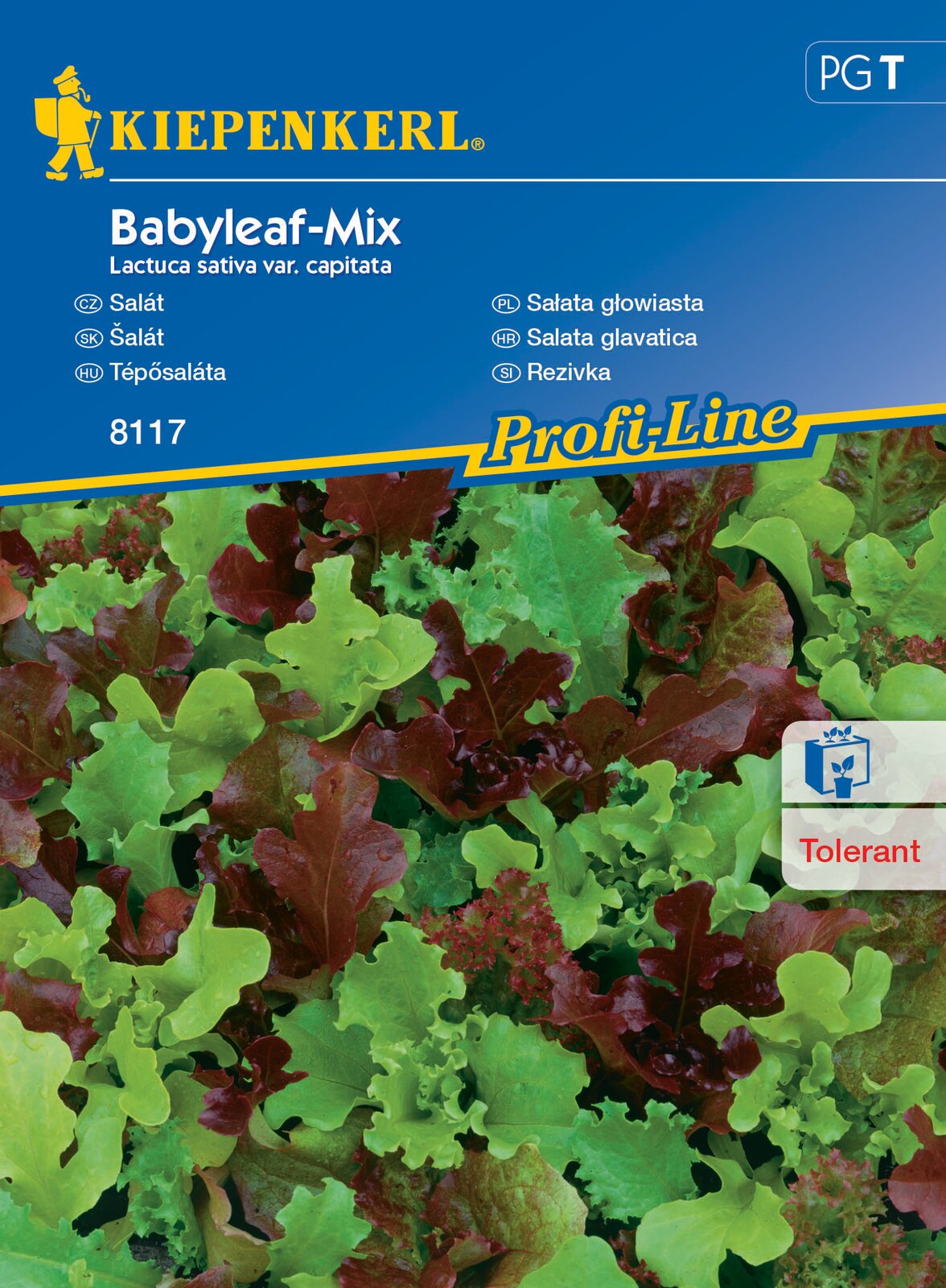 Tear salad Babyleaf Mix (Oaking, Diablotin, Greenet, Cavendish) Kiepenkerl 3 m