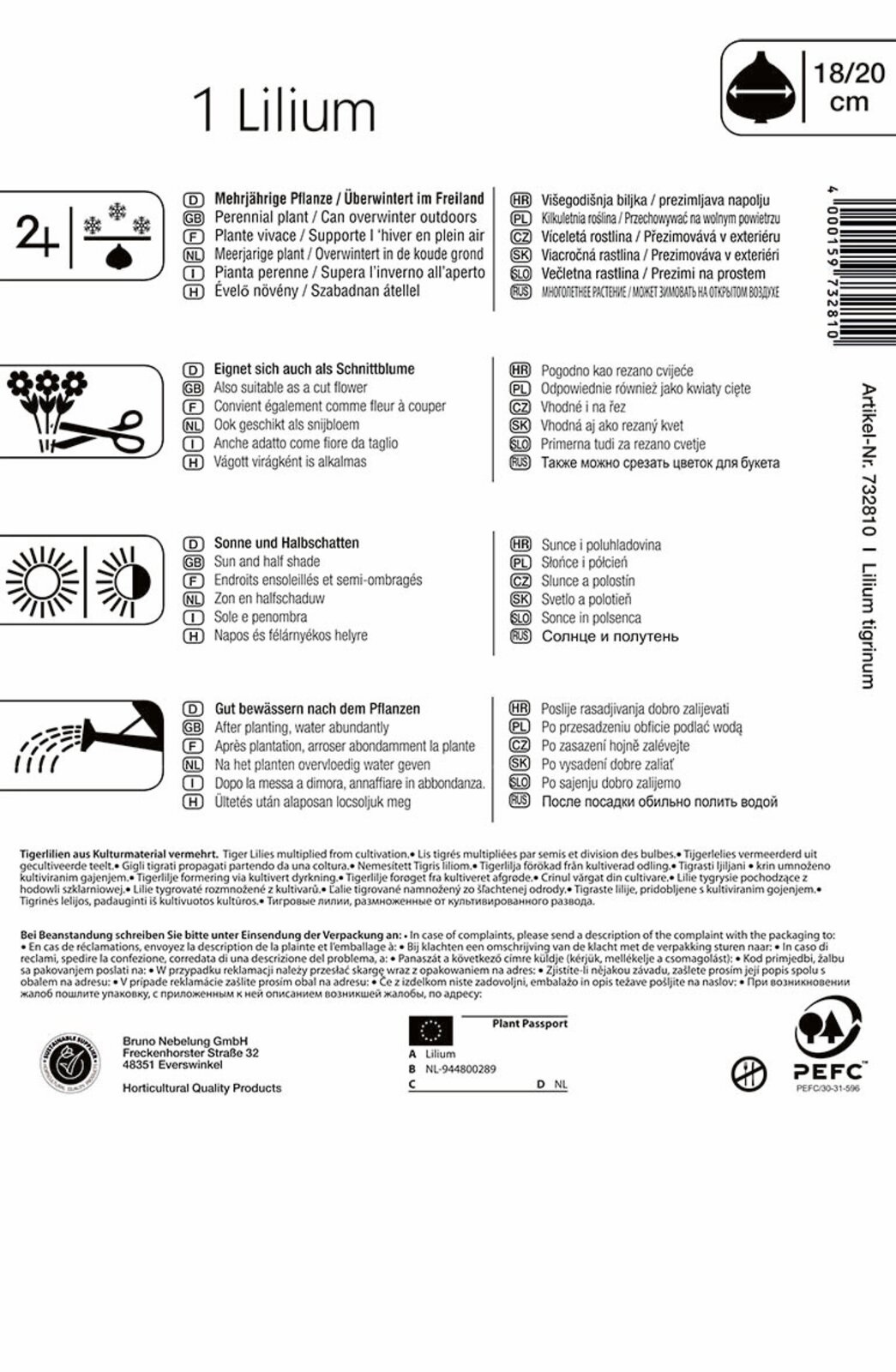 Virághagyma Tigrisliliom Tigerlilie (narancs) Kiepenkerl 1 db