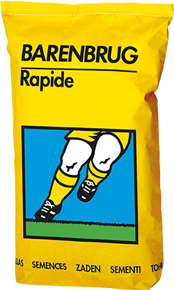 Grass seed Barenbrug Rapide 15 kg