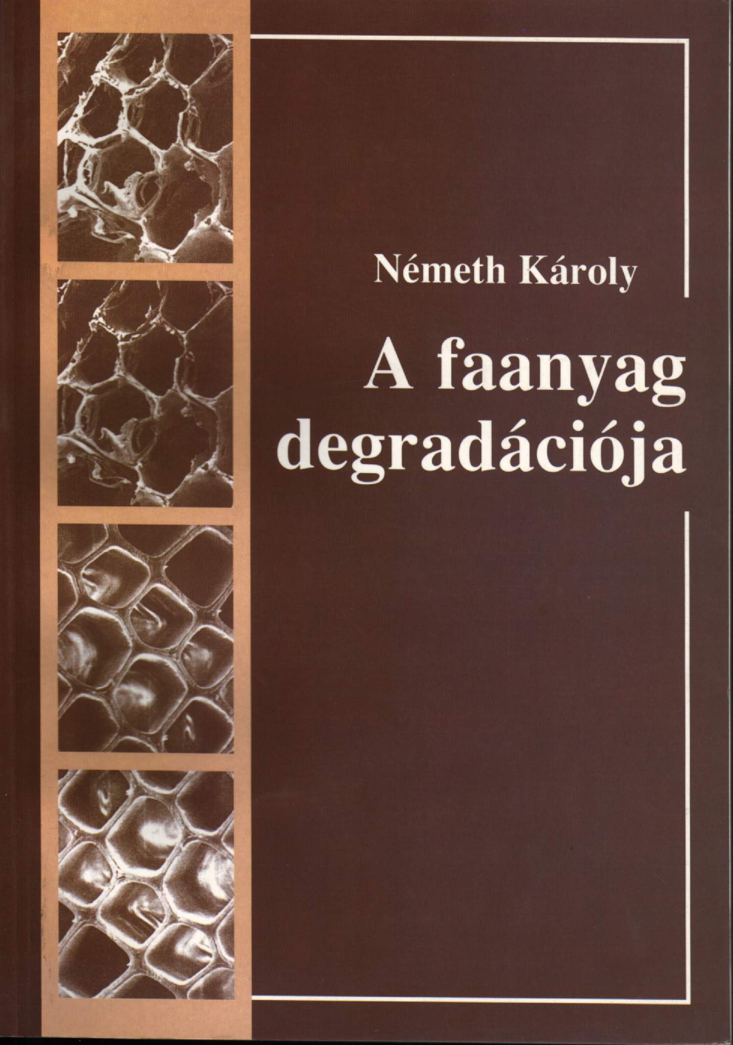 A faanyag degradációja