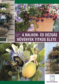 A balkon- és dézsás növények titkos élete - Czauner Péter