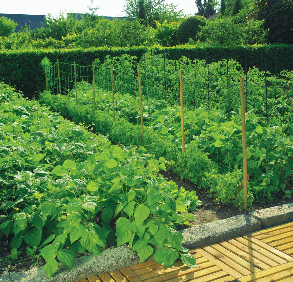 Cucumber netting 17x10x500 m (1.7 m wide)