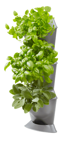 NatureUp! Green wall corner starter kit Gardena