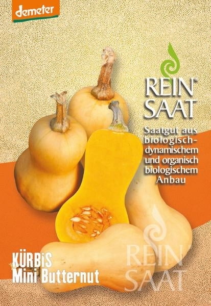 Sütőtök bio Mini Butternut Kürbis Rein Saat kb. 8 db mag