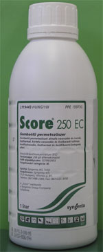 Score 250 EC 1 l