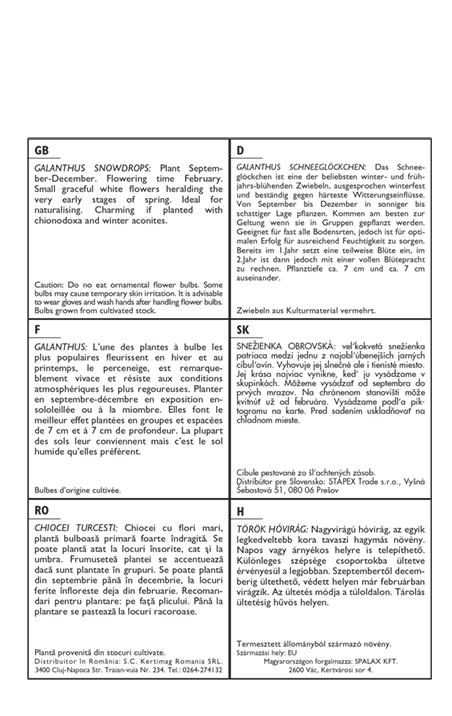 Virághagyma Hóvirág Elwesii 10 db Rédei Kertimag